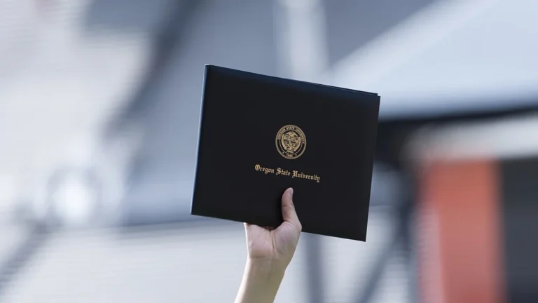Diploma ve denklik sürecini anlatan üniversite belgesi fotoğrafı