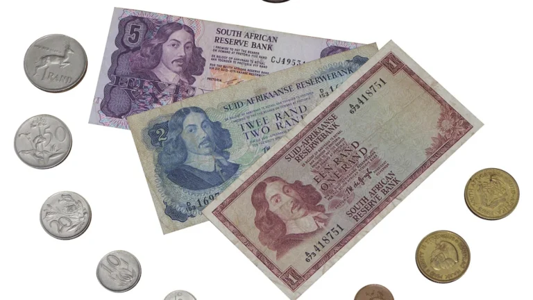 Güney Afrika randı banknotları ve madeni paralarını gösteren fotoğraf