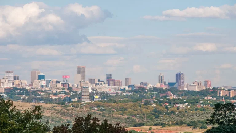 Yeşil alanın arkasında Johannesburg şehir silüeti